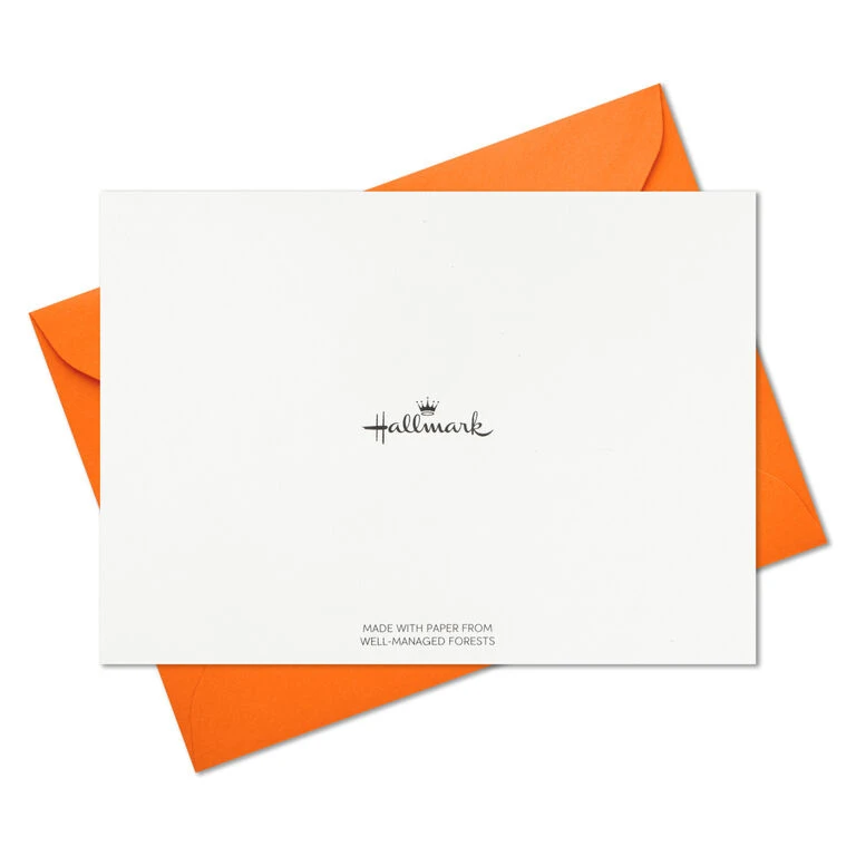 Abstract Doodles and Dots Boxed Blank Note Cards, Pack of 48 Hallmark Abstract Doodles And Dots Boxed Blank Note Cards, Pack Of 48 -Hallmark Shop Abstract Doodles and Dots Boxed Blank Note Cards 5STZ1092 05