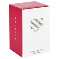 Hallmark Christmas Angels Good Cheer Ornament 4 Hallmark Christmas Angels Good Cheer Ornament -Hallmark Shop Angel in Red Flowers Dress Keepsake Ornament 2499QXR8267 05