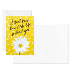 Hallmark Colorful Daisies Boxed Thank-You Notes, Pack Of 50 -Hallmark Shop Colorful Daisies Boxed ThankYou Notes 3THK2543 04