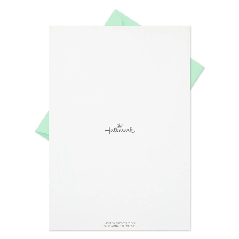 Fern Border Stationery Set, 20 sheets Hallmark Fern Border Stationery Set, 20 Sheets -Hallmark Shop Green Ferns Writing Sheets Stationery Set 1STN1144 05