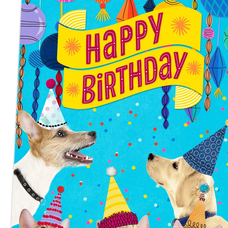 16" Party Cats and Dogs Jumbo Birthday Card From All Hallmark 16" Party Cats And Dogs Jumbo Birthday Card From All -Hallmark Shop Party Cats Dogs Birthday Card From Us 1299CBG3004 04