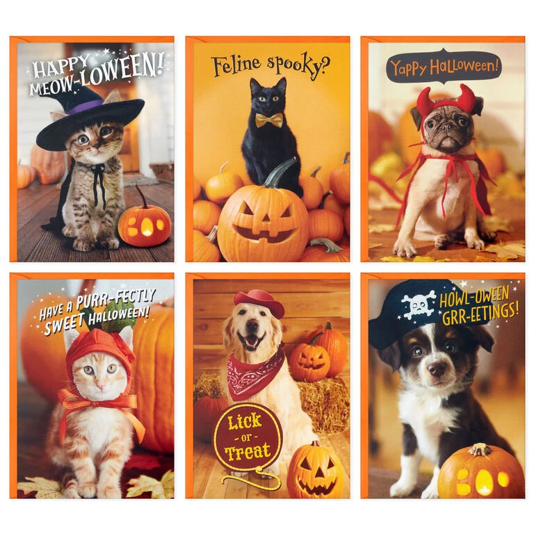 Pet Puns Boxed Halloween Cards Assortment, Pack of 48 Hallmark Pet Puns Boxed Halloween Cards Assortment, Pack Of 48 -Hallmark Shop Pet Puns Boxed Halloween Cards Assortment 5ELT1013 02