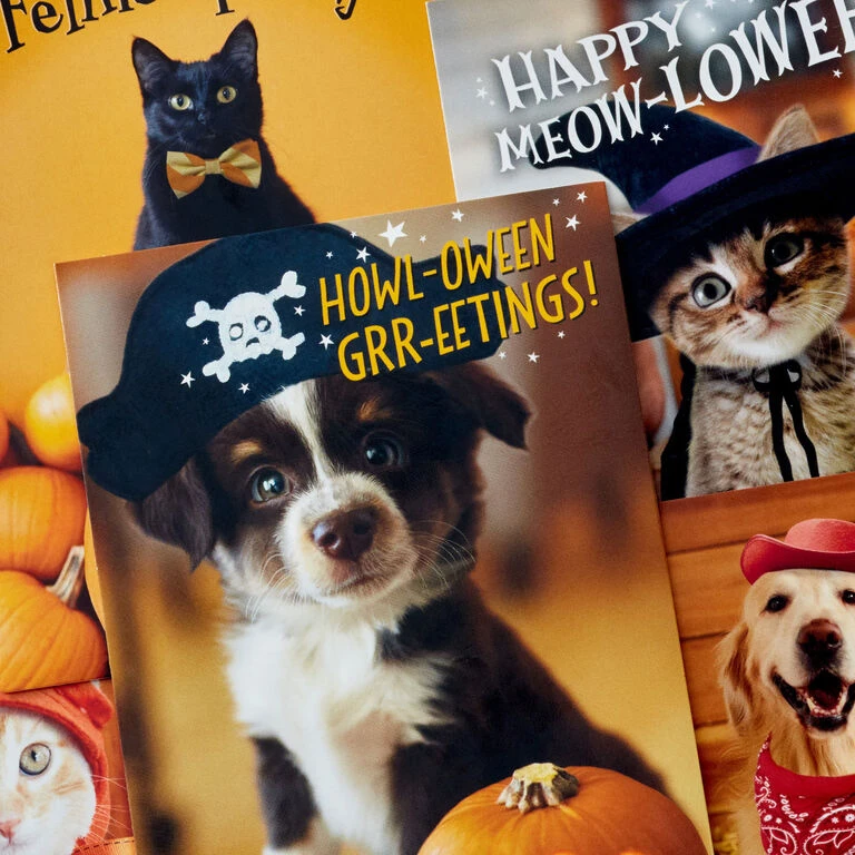 Pet Puns Boxed Halloween Cards Assortment, Pack of 48 Hallmark Pet Puns Boxed Halloween Cards Assortment, Pack Of 48 -Hallmark Shop Pet Puns Boxed Halloween Cards Assortment 5ELT1013 03