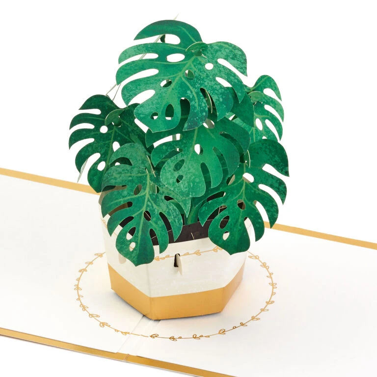 Plant in Pot 3D Pop-Up Thinking of You Card Hallmark Plant In Pot 3D Pop-Up Thinking Of You Card -Hallmark Shop Plant in Pot 3D PopUp Thinking of You Card 1299LAD2900 01