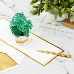 Hallmark Plant In Pot 3D Pop-Up Thinking Of You Card 6 Hallmark Plant In Pot 3D Pop-Up Thinking Of You Card -Hallmark Shop Plant in Pot 3D PopUp Thinking of You Card 1299LAD2900 07