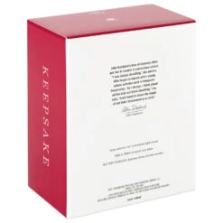 Hallmark Snowflake 10-Light Christmas String Lights, 10' -Hallmark Shop Snowflakes Keepsake Christmas Light String 1QSB6297 05