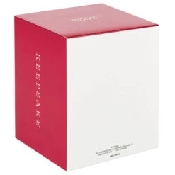 Hallmark Star Wars: The Book Of Boba Fett™ Riding Into The Battle Ornament -Hallmark Shop Star Wars Boba Fett on Rancor Keepsake Ornament 2499QXI7087 05