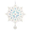 Hallmark Snowflake 2023 Porcelain Ornament